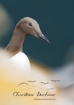 Photographie de Christine Duchêne